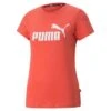 Puma - Women's Essential Logo T-Shirt (586775 58)