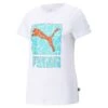 Puma - Women's Pool Box T-Shirt (675061 02)