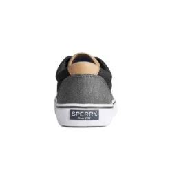 Sperry - Men's Striper II Shoes (STS23347) -TrekWear Sales Shop Sperry Men s Striper II Shoes STS23347 3